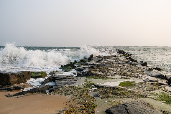 Shore-00612023_