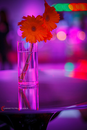 HHH_Showcase_-0039A