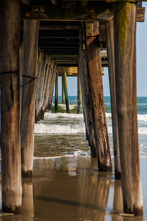 Shore-00412023_