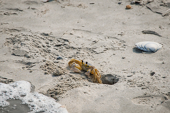 Shore-00042023_