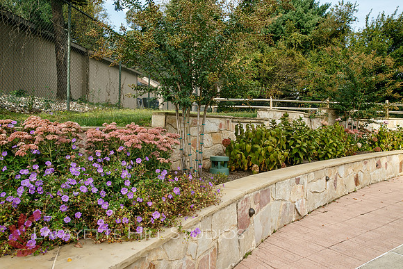 BB_landscaping_0069