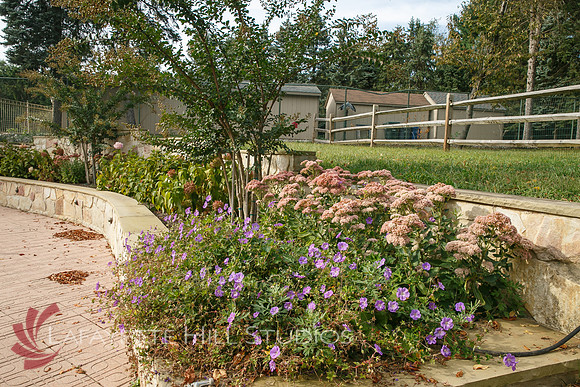 BB_landscaping_0070