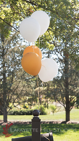 CBMI_0012