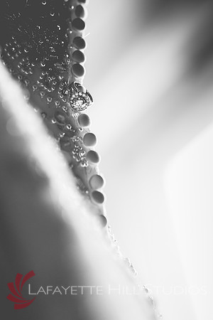 Quattrone_0029
