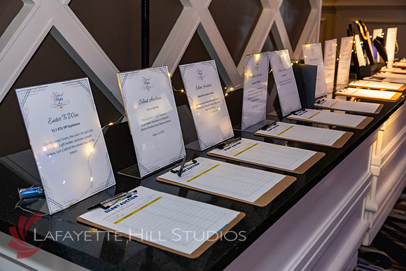 ALS Hope Foundation Gala-2025_0013