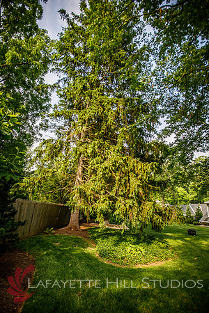Burkes_Brothers_landscaping-0029