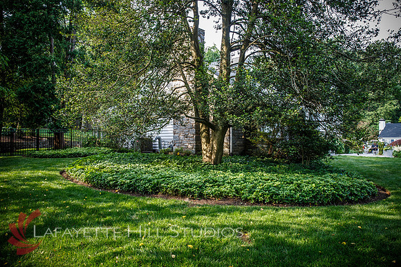 Burkes_Brothers_landscaping-0055