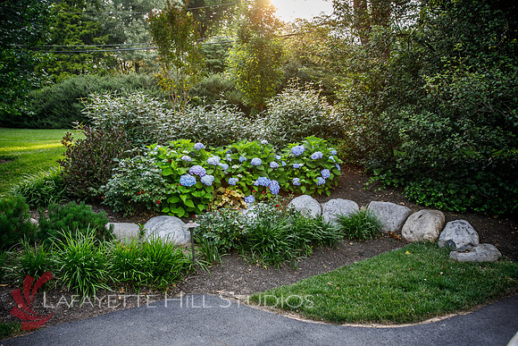 Burkes_Brothers_landscaping-0149