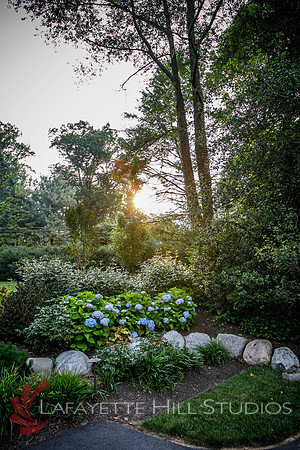 Burkes_Brothers_landscaping-0150