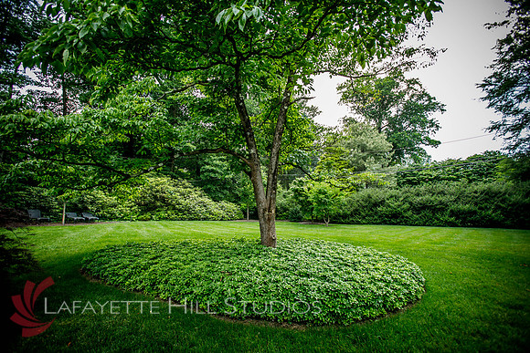 Burkes_Brothers_landscaping-0177