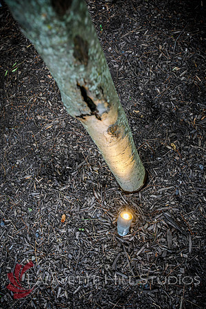 Burkes_Brothers_landscaping-0184