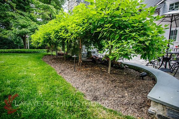 Burkes_Brothers_landscaping-0185