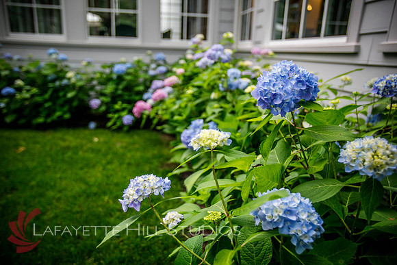 Burkes_Brothers_landscaping-0222