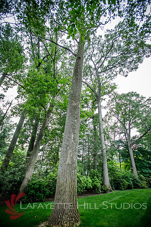 Burkes_Brothers_landscaping-0234