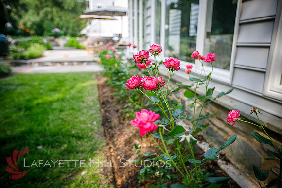 Burkes_Brothers_landscaping-0007
