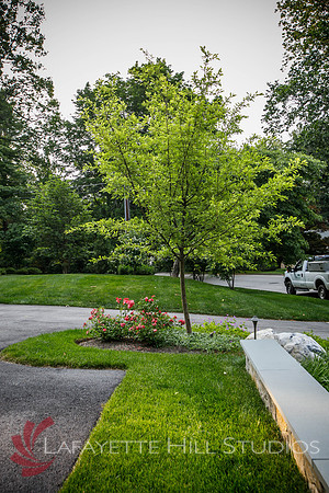 Burkes_Brothers_landscaping-0146