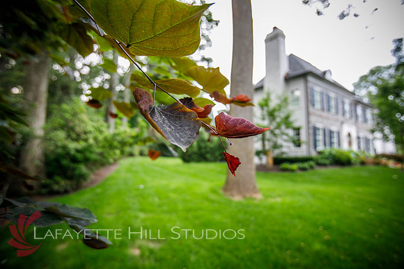 Burkes_Brothers_landscaping-0237