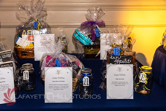 ALS Hope Foundation Gala-2025_0053