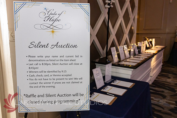ALS Hope Foundation Gala-2025_0008