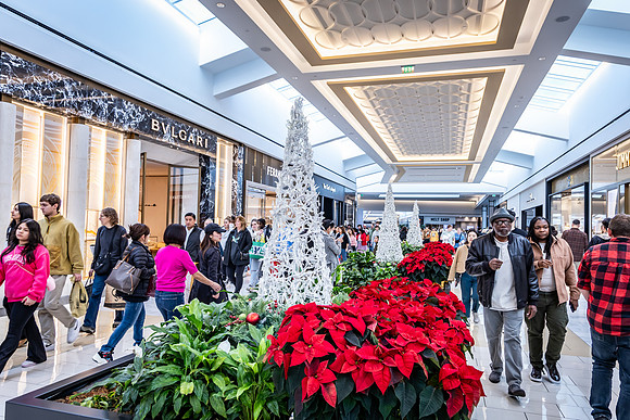 Black Friday 2023 Shopping_0011