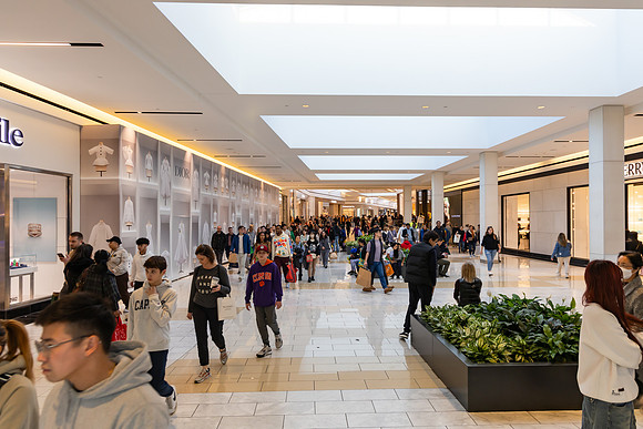 Black Friday 2023 Shopping_0074