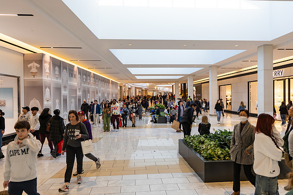 Black Friday 2023 Shopping_0075
