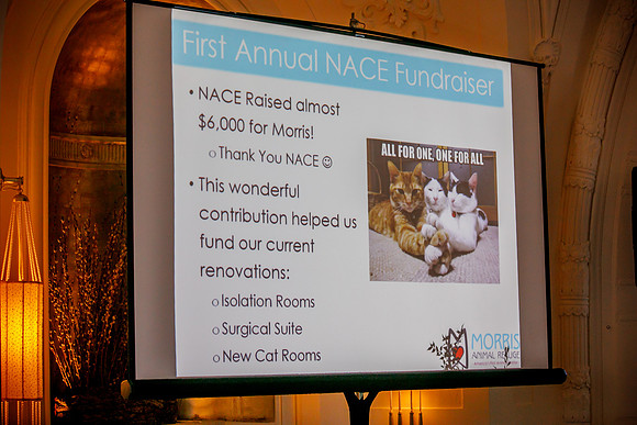 Nace0177