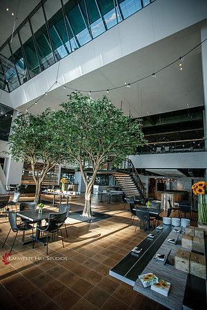 Comcast-NewBuild_0029