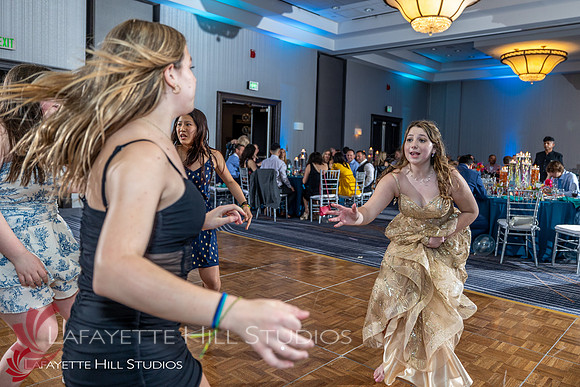 Lisman_HL_0055