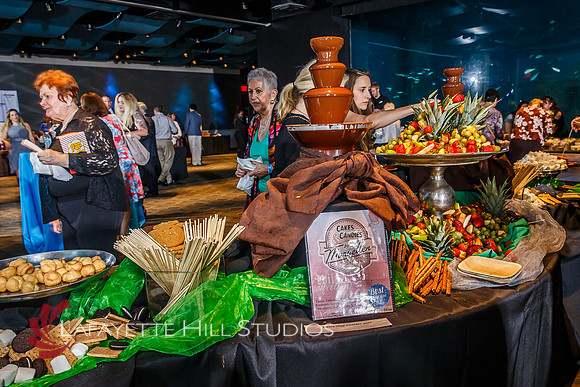 ALS_Chocolate_Meltdown_0088