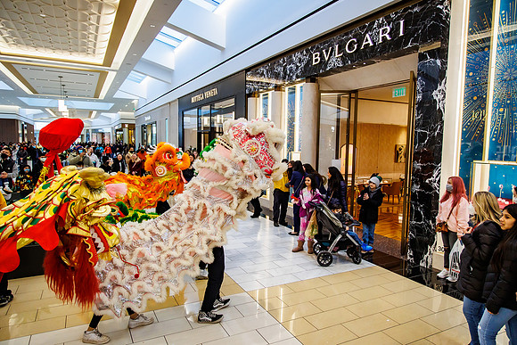 KOP-Dragon dance__0155