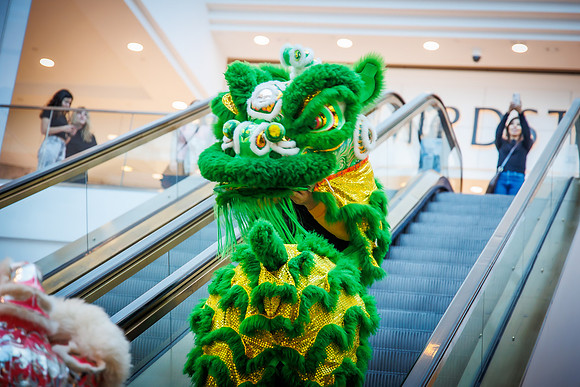KOP-Dragon dance__0007