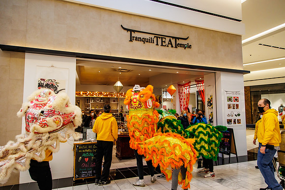 KOP-Dragon dance__0212