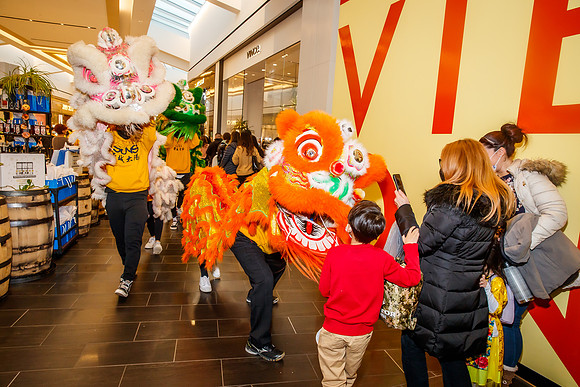 KOP-Dragon dance__0162
