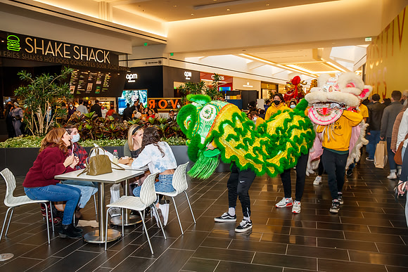 KOP-Dragon dance__0168