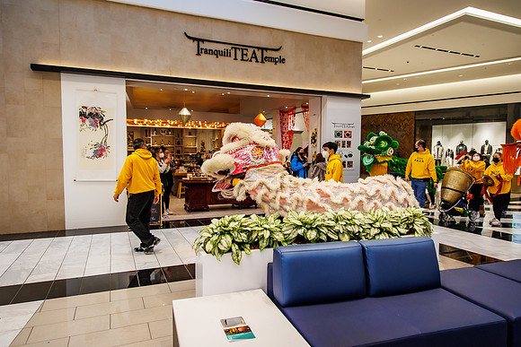 KOP-Dragon dance__0210