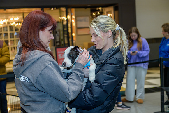 Pet Adoption Day2024_0005