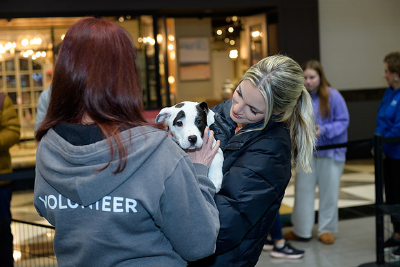 Pet Adoption Day2024_0006
