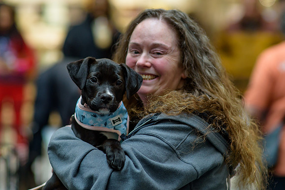 Pet Adoption Day2024_0015