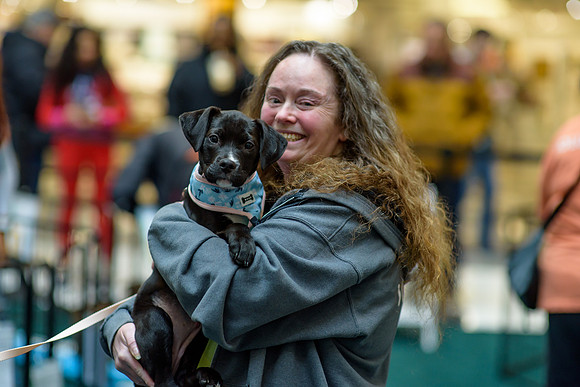Pet Adoption Day2024_0014