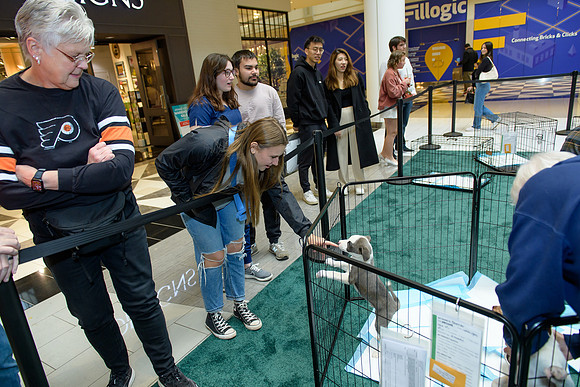 Pet Adoption Day2024_0017