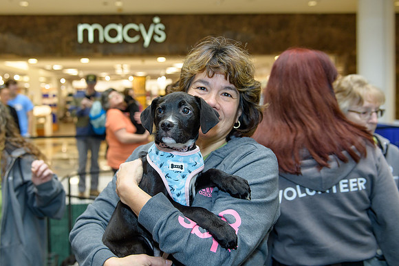 Pet Adoption Day2024_0018