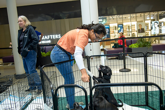 Pet Adoption Day2024_0019