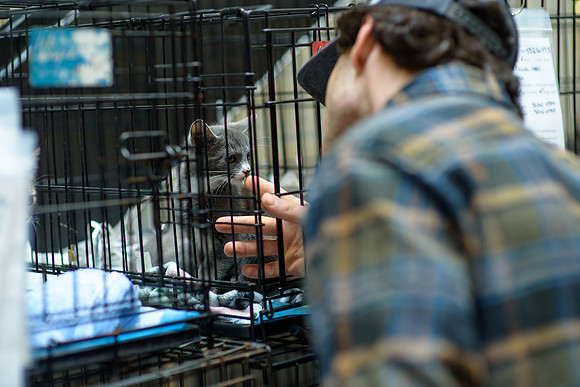 Pet Adoption Day2024_0024