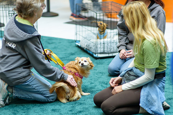 Pet Adoption Day2024_0028
