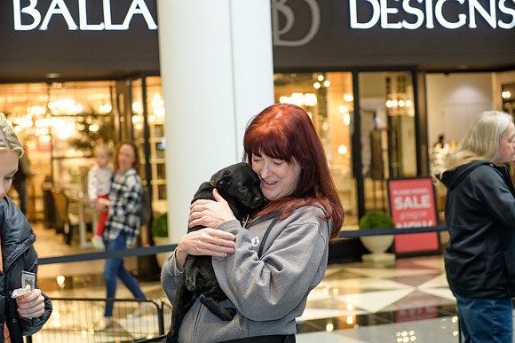 Pet Adoption Day2024_0037