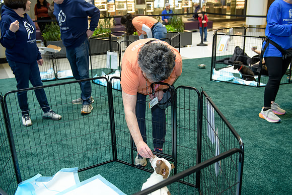 Pet Adoption Day2024_0046