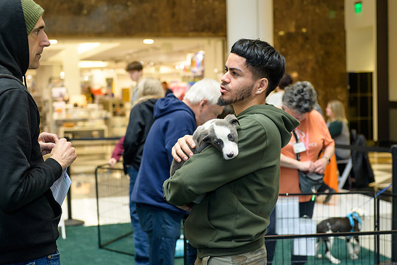 Pet Adoption Day2024_0047