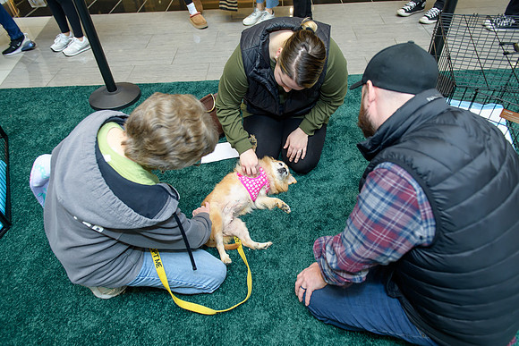 Pet Adoption Day2024_0053