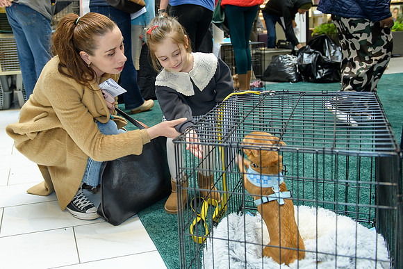 Pet Adoption Day2024_0058